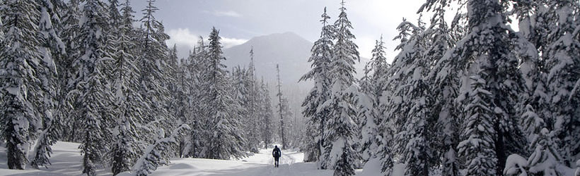 Year-Round Recreation