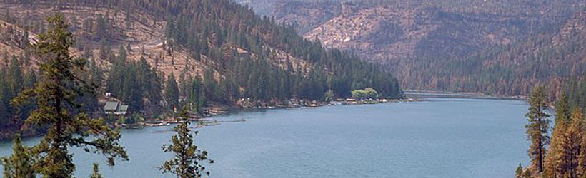 Forest Surrounding Lake Billy Chinook