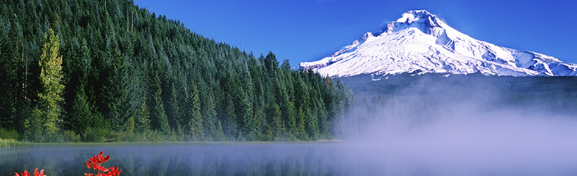 Mount Hood above Trillium Lake