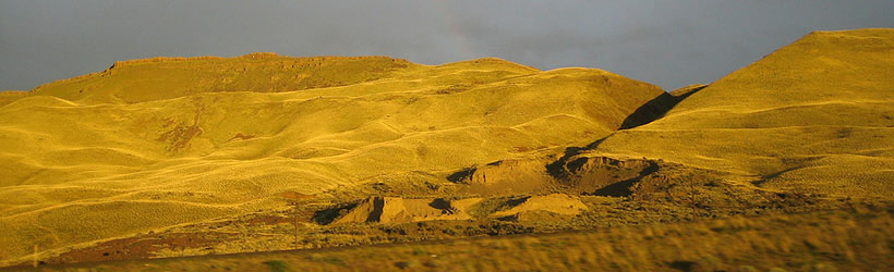 Rural Landscape