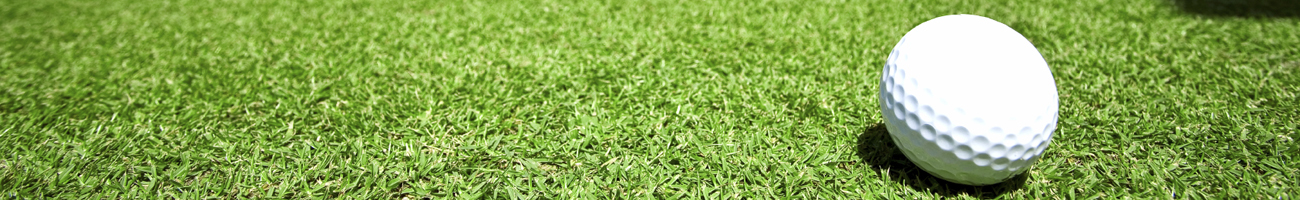 This is a generic image, it is NOT an image of Eastmoreland Golf Course go-oregon.com Travel Info