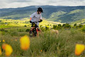 Biking & Hiking