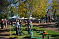 Corvallis Fall Festival