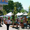 Corvallis Farmer’s Market