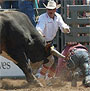 Fort Dalles Days & Rodeo