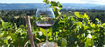 Wineries & Wine Tours in The Dalles
