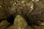 Oregon Caves National Monument