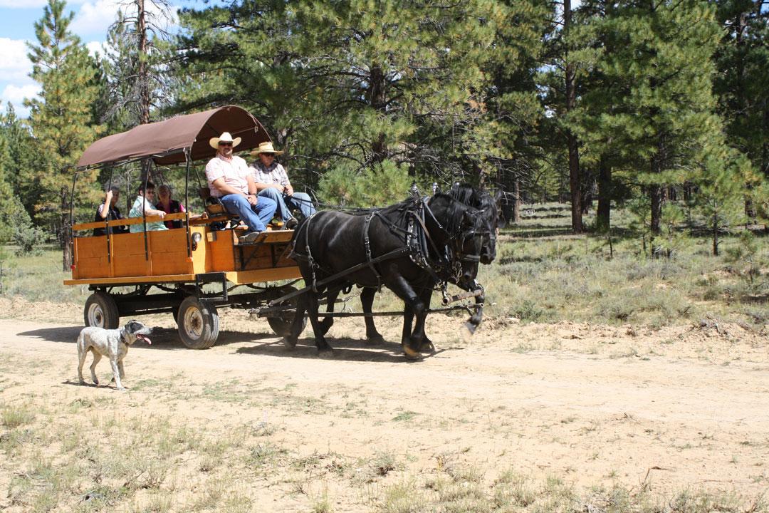 
Ruby's Horseback Adventures - Wagon Rides
