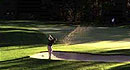 Black Butte Ranch Golf Courses